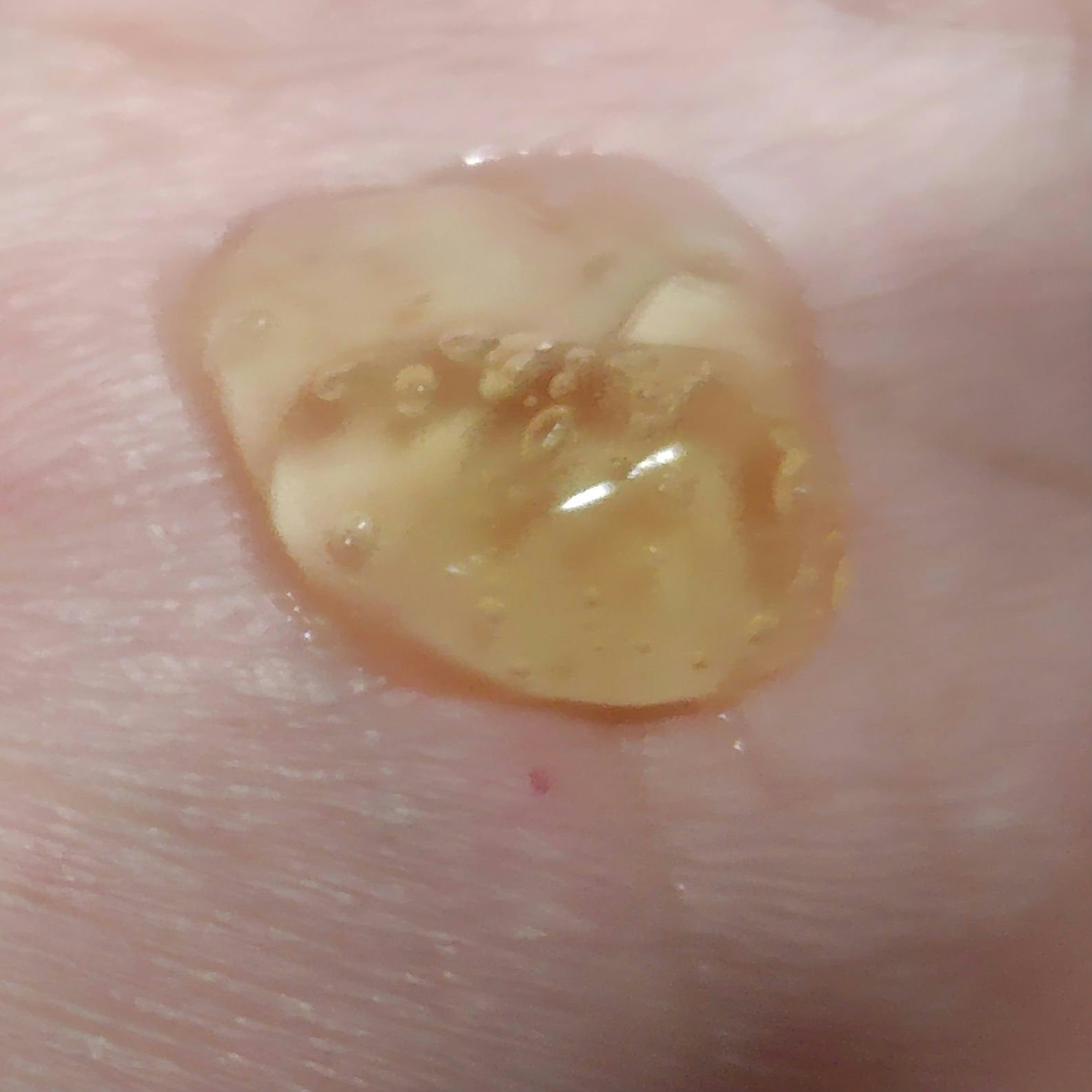 ホワイトトリュフダブルセラムアンドクリーム/ダルバ/フェイスクリームを使ったクチコミ（3枚目）