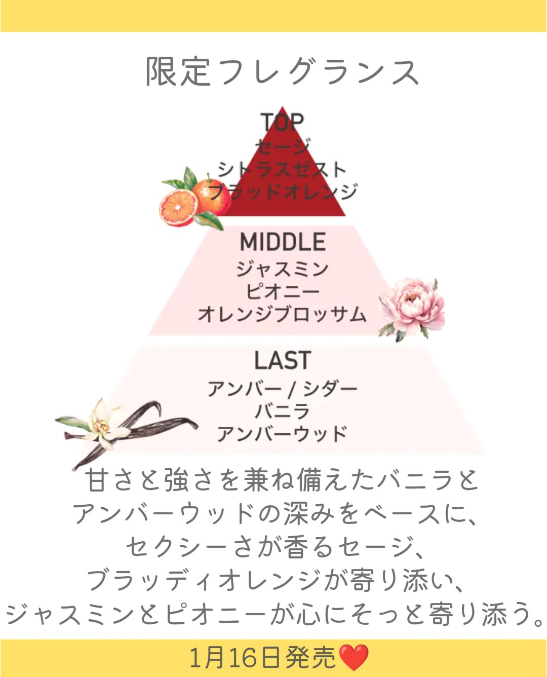 Queen of Hearts  ボディミスト/Laline/香水(レディース)を使ったクチコミ（3枚目）