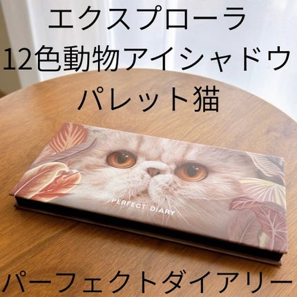 エクスプローラ12色 動物アイシャドウパレット/PERFECT DIARY/アイシャドウパレットを使ったクチコミ(4枚目)
