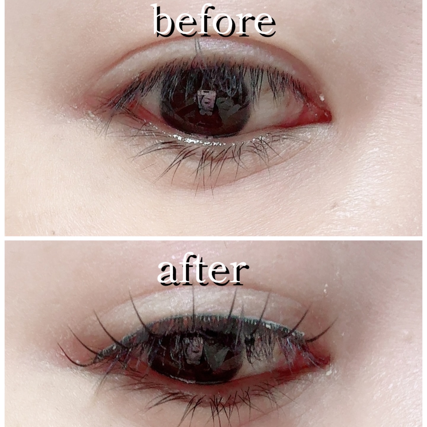 ラッシュフォーカス/D-UP/つけまつげを使ったクチコミ（3枚目）