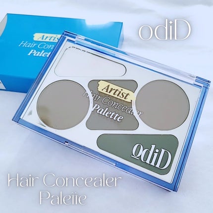 アーティストライン ヘアコンシーラーパレット/odiD/その他スタイリングを使ったクチコミ(1枚目)