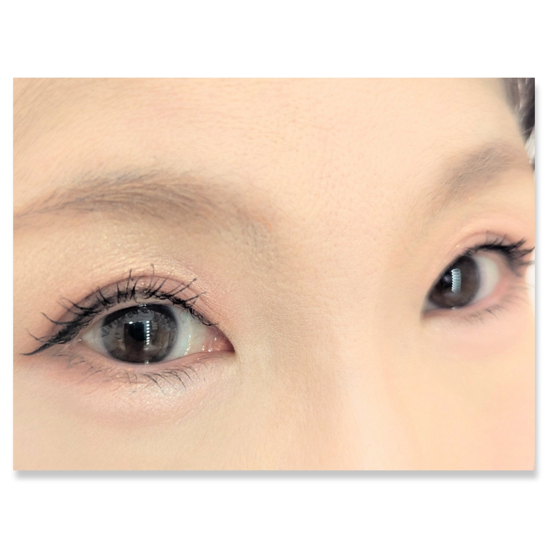 ル・ヌフ・ジバンシイ/GIVENCHY/アイシャドウパレットを使ったクチコミ（2枚目）