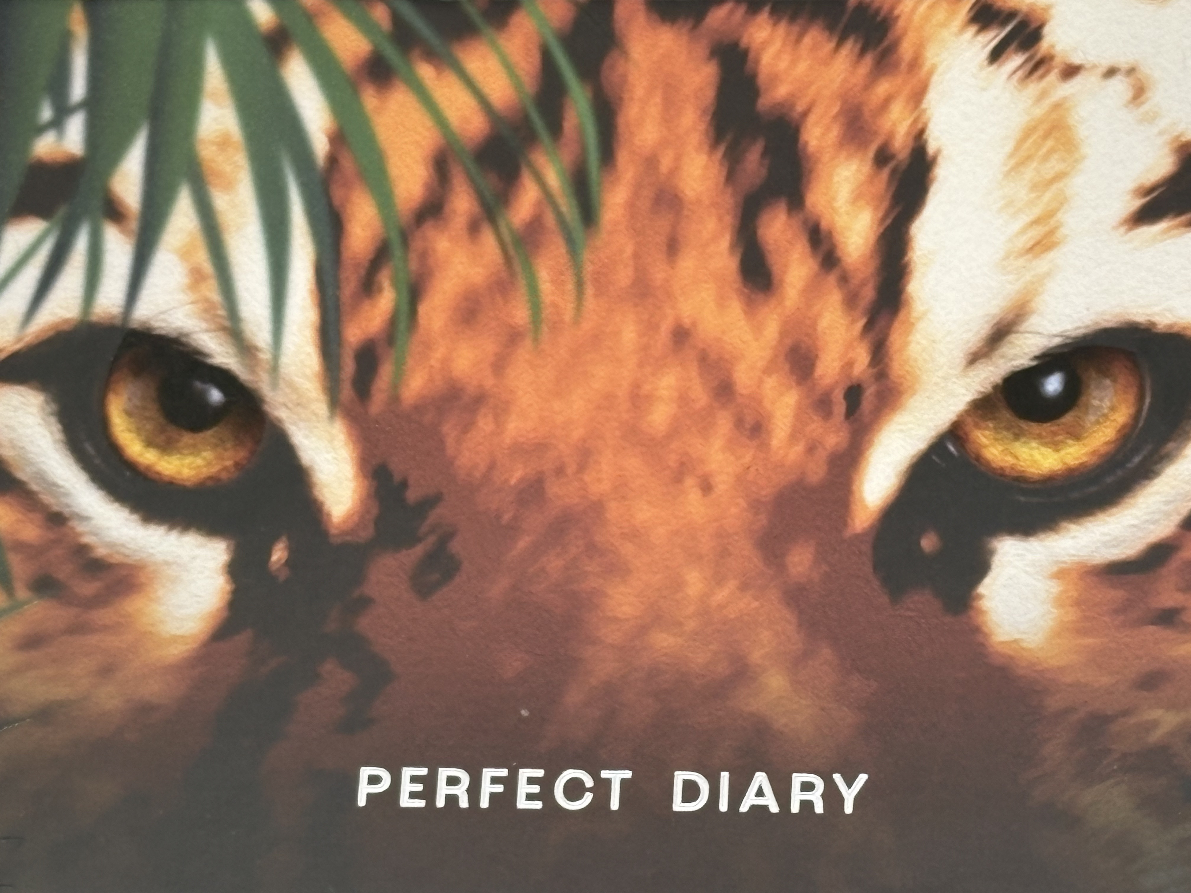 エクスプローラ12色 動物アイシャドウパレット/PERFECT DIARY/アイシャドウパレットを使ったクチコミ（1枚目）