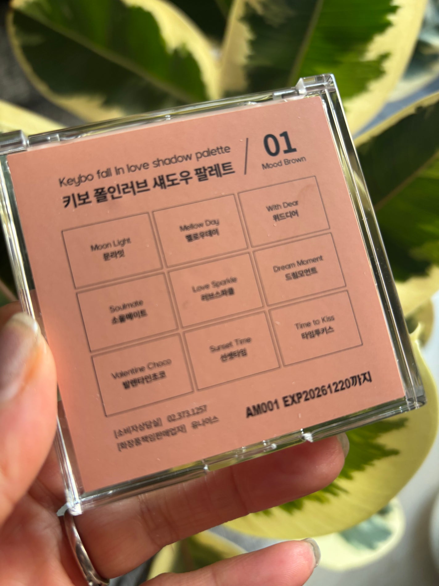 KEYBO FALL IN LOVE SHADOW PALETTE/keybo/アイシャドウパレットを使ったクチコミ(4枚目)