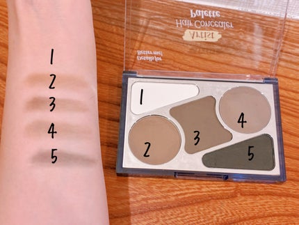 アーティストライン ヘアコンシーラーパレット/odiD/その他スタイリングを使ったクチコミ(2枚目)