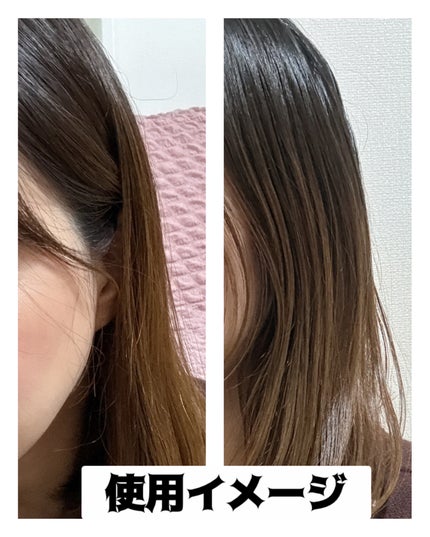 ダメージセラピーノーウォッシュトリートメントEXトゥルーミー (ムスクの香り) 250ml/GROWUS/ヘアミストの画像