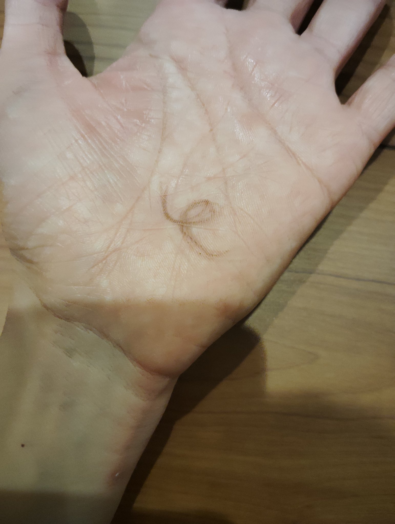 アイブロー ペンシル くり出し式/ちふれ/アイブロウペンシルを使ったクチコミ（3枚目）