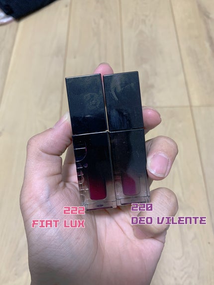 ブラーグロイリップティント/Dinto/リップティントを使ったクチコミ(2枚目)