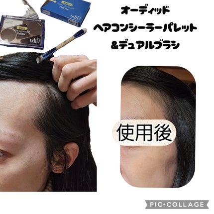 ヘアコンシーラーパレット&アーティスト デュアルブラシ/odiD/その他スタイリングを使ったクチコミ(5枚目)