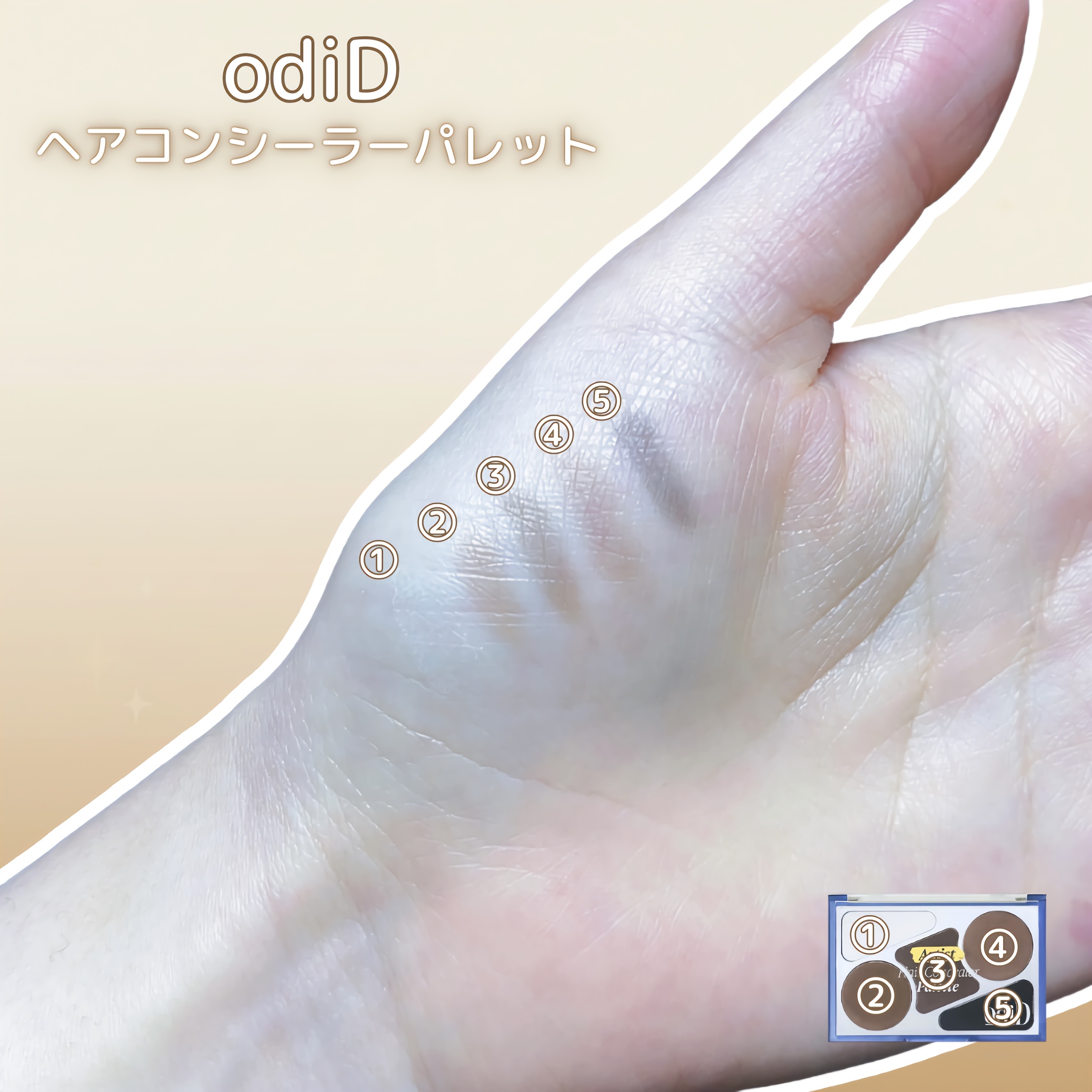  ヘアコンシーラーパレット&アーティスト デュアルブラシ/odiD/その他スタイリングを使ったクチコミ（2枚目）