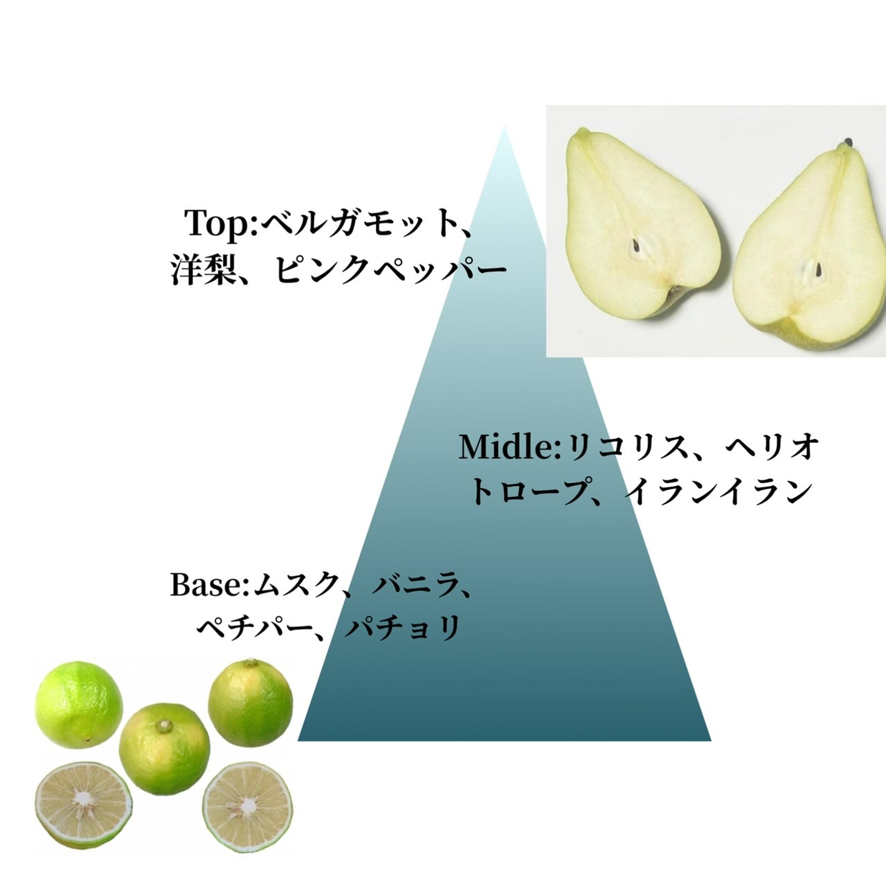 ブラックムスク オードトワレ/THE BODY SHOP/香水を使ったクチコミ（2枚目）