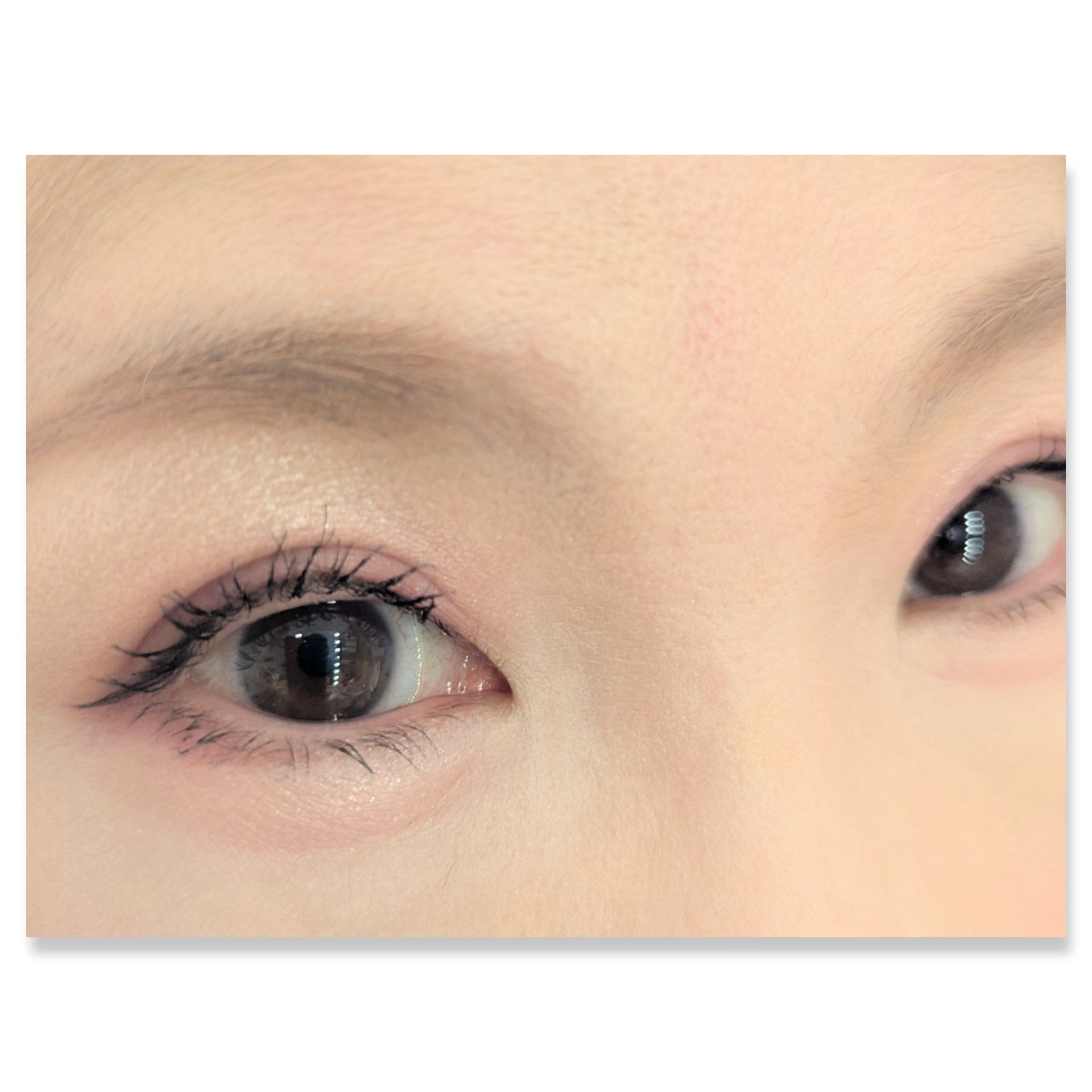 パーフェクトマルチアイズ/キャンメイク/アイシャドウパレットを使ったクチコミ（2枚目）