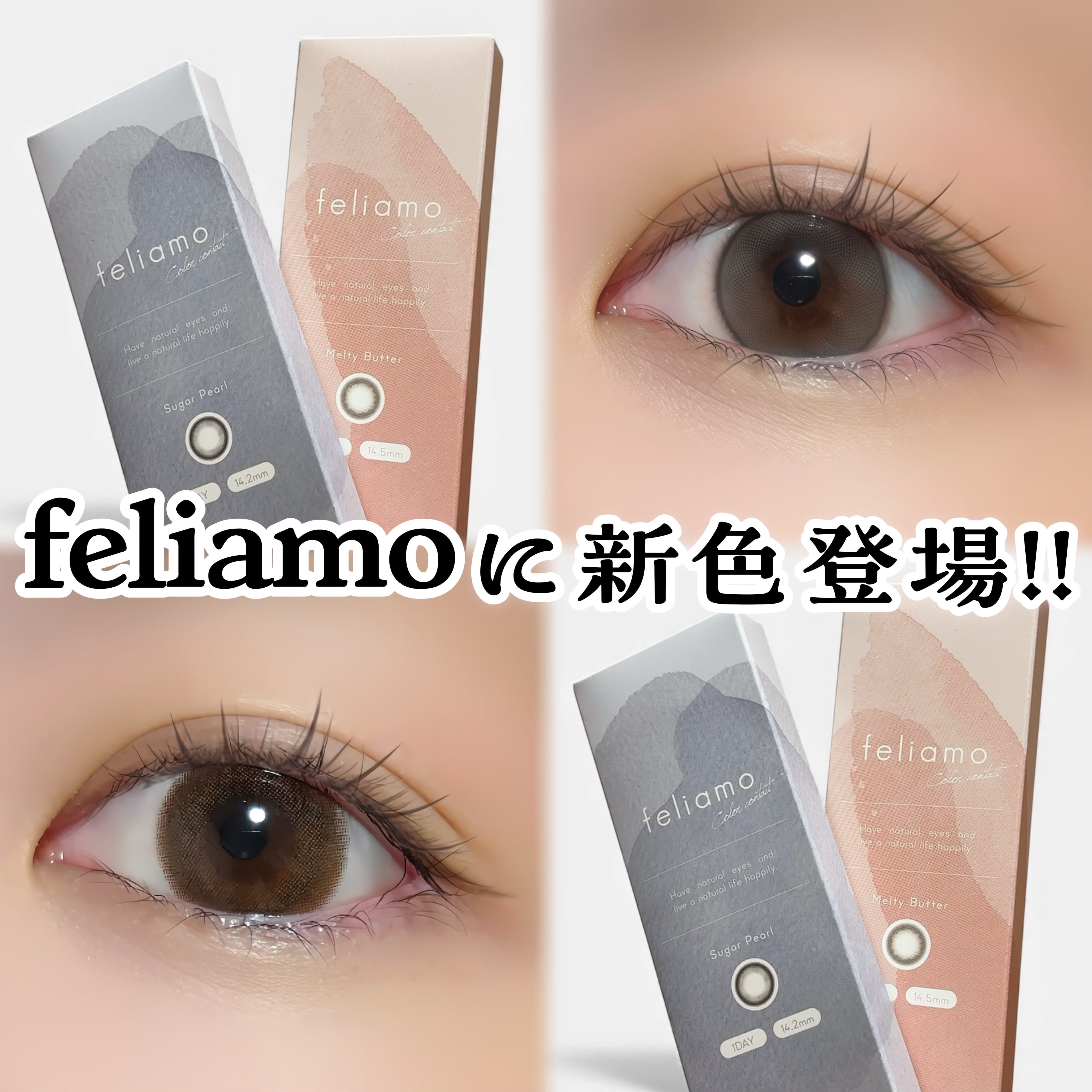 feliamo 1day/feliamo/ワンデー（１DAY）カラコンを使ったクチコミ（1枚目）
