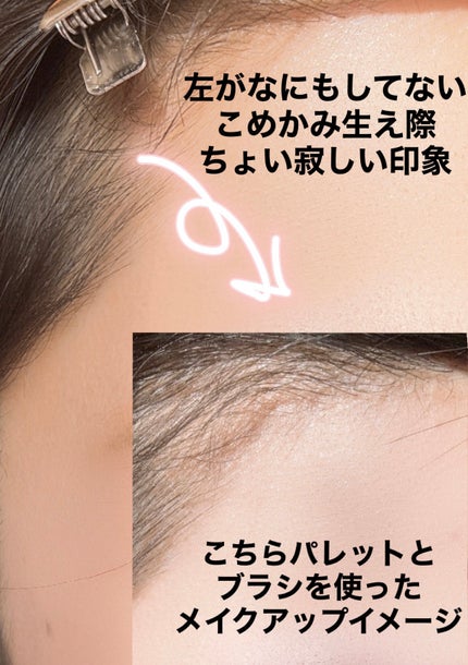 アーティストライン ヘアコンシーラーパレット/odiD/その他スタイリングを使ったクチコミ(3枚目)