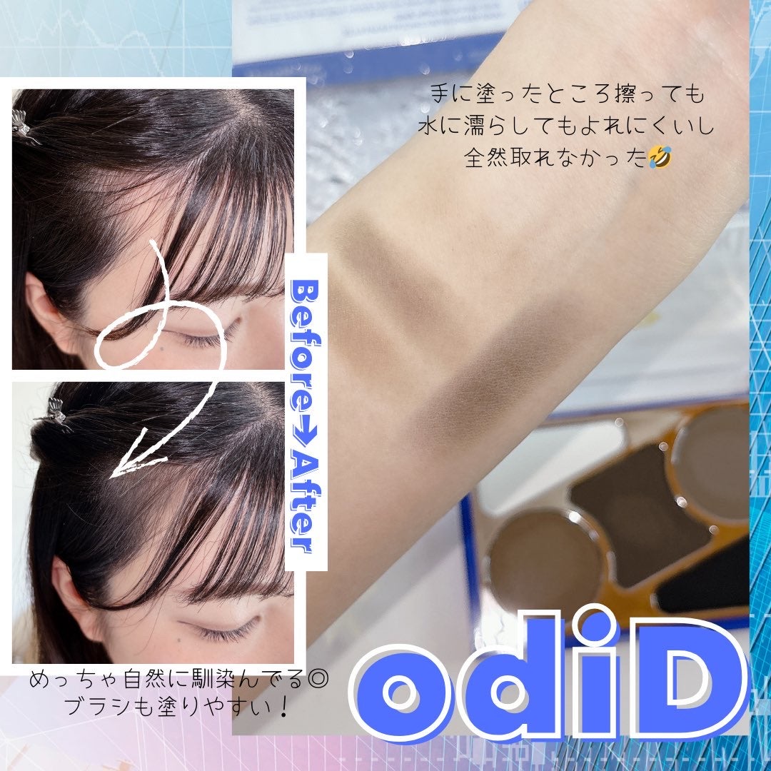 アーティストライン　ヘアコンシーラーパレット/odiD/その他スタイリングを使ったクチコミ（2枚目）