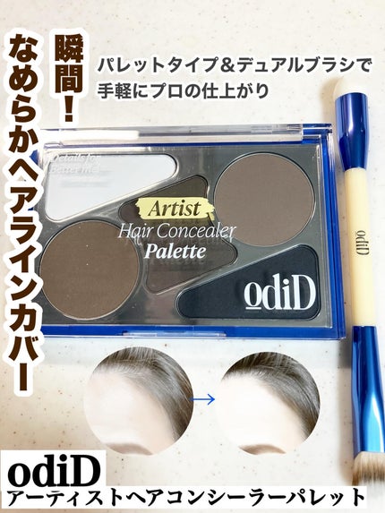ヘアコンシーラーパレット&アーティスト デュアルブラシ/odiD/その他スタイリングを使ったクチコミ(1枚目)