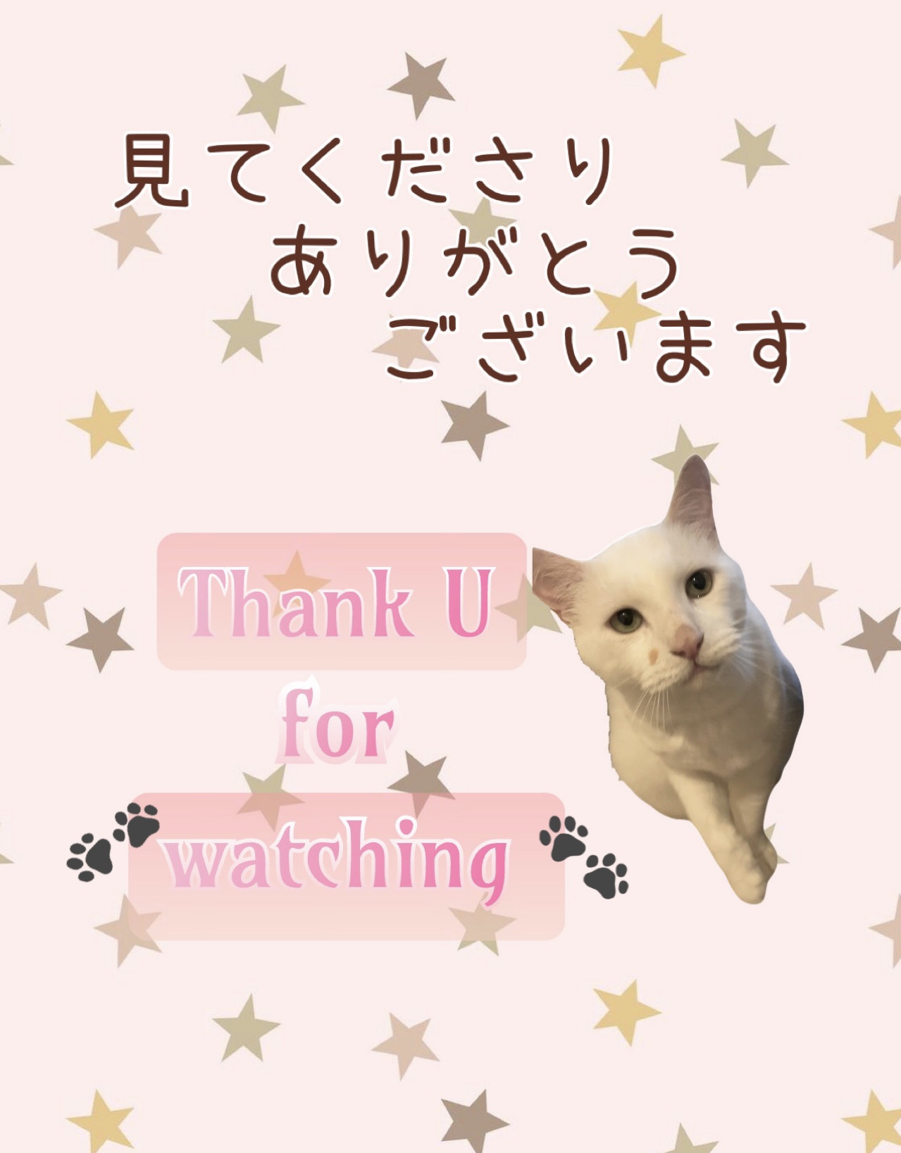 リキッド アイライナー 筆ペンタイプ/ちふれ/リキッドアイライナーを使ったクチコミ（3枚目）