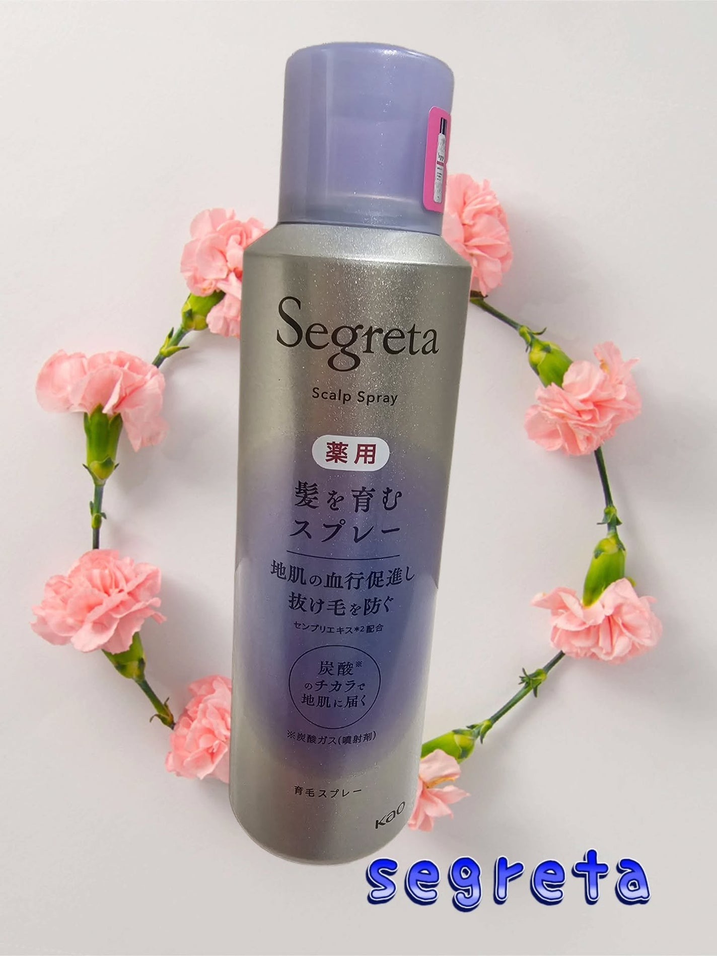 セグレタ髪を育むスプレー/セグレタ/頭皮ローションを使ったクチコミ(1枚目)