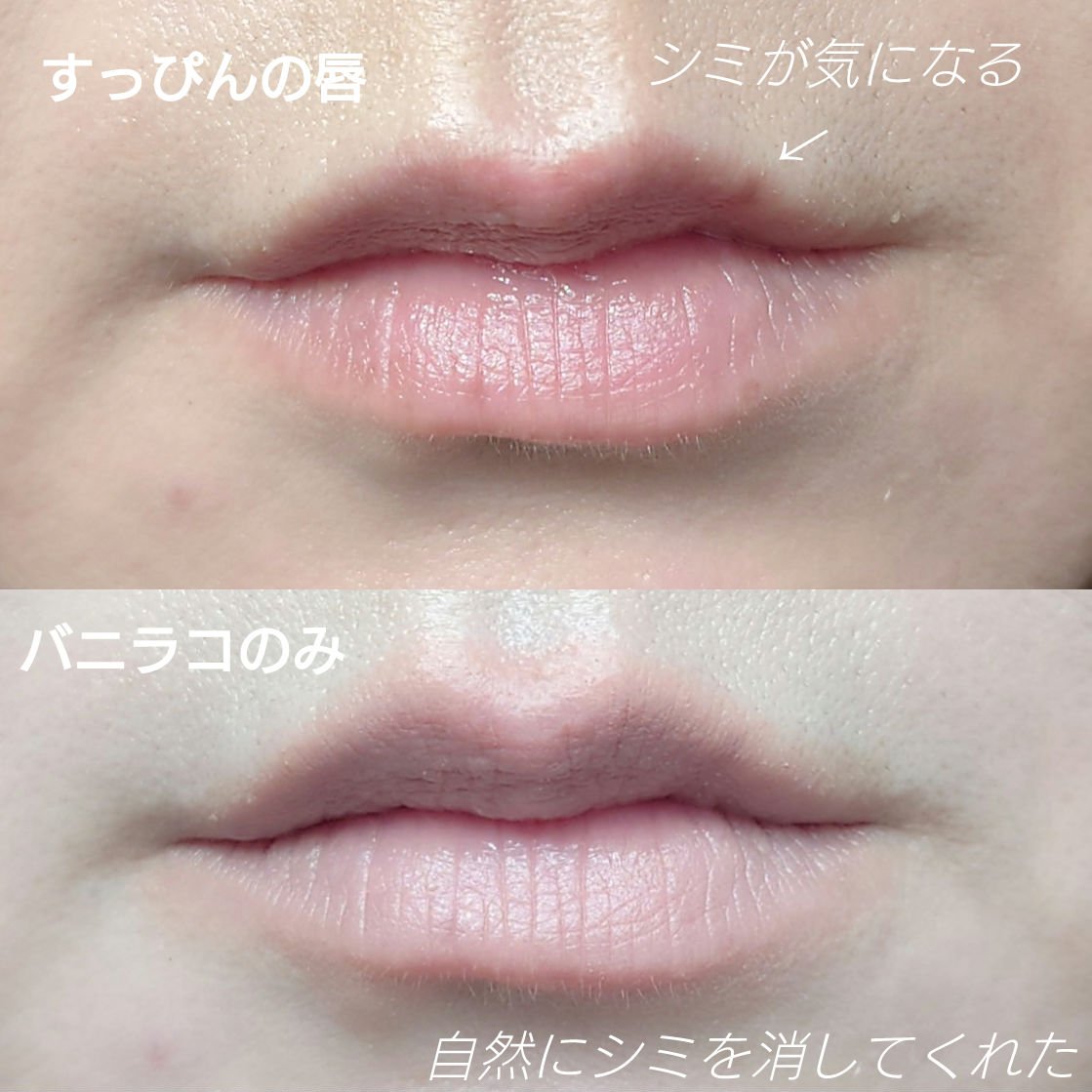 スマッジングリップペンシル/BANILA CO/リップライナーを使ったクチコミ（2枚目）