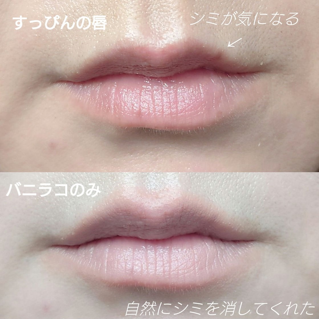 スマッジングリップペンシル/BANILA CO/リップライナーを使ったクチコミ(2枚目)
