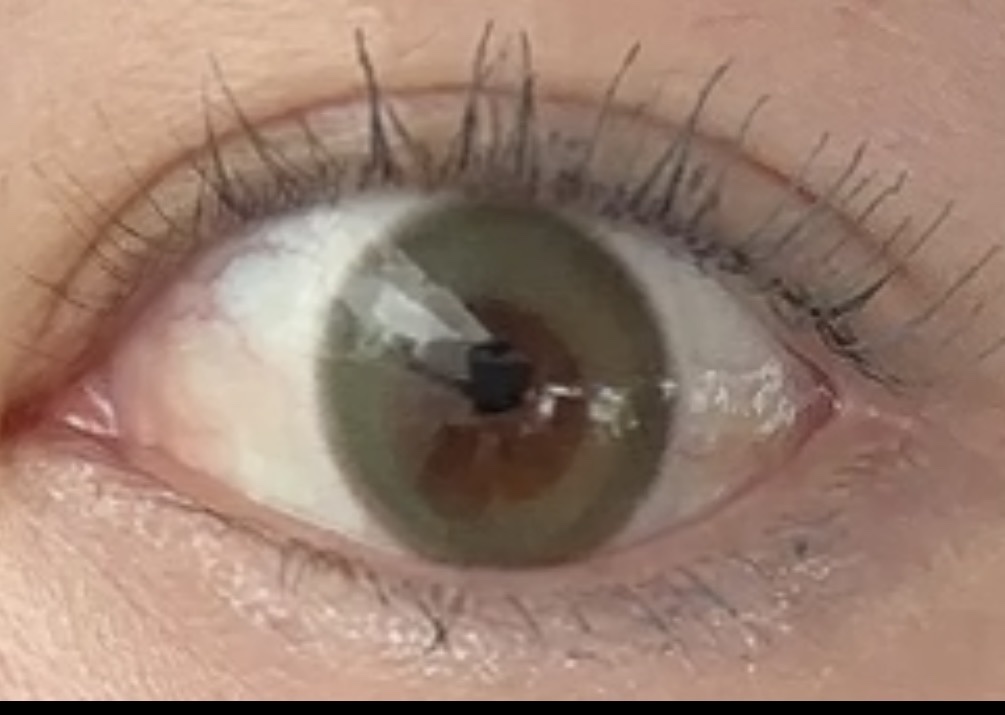 VNTUS 1day アンミックス/VNTUS/ワンデー（１DAY）カラコンを使ったクチコミ（1枚目）