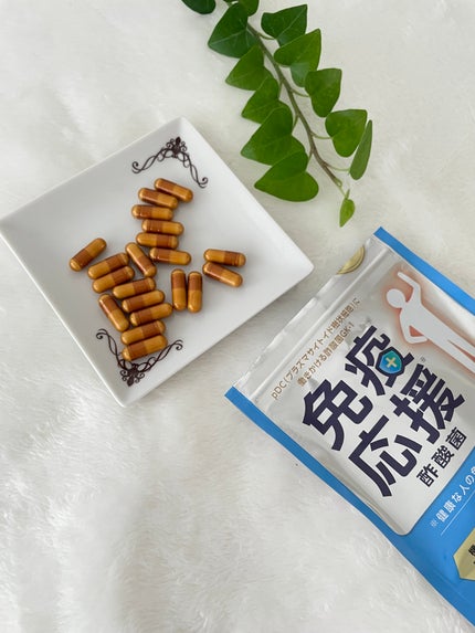 免疫応援酢酸菌/マルマンH&B/健康サプリメントを使ったクチコミ(2枚目)