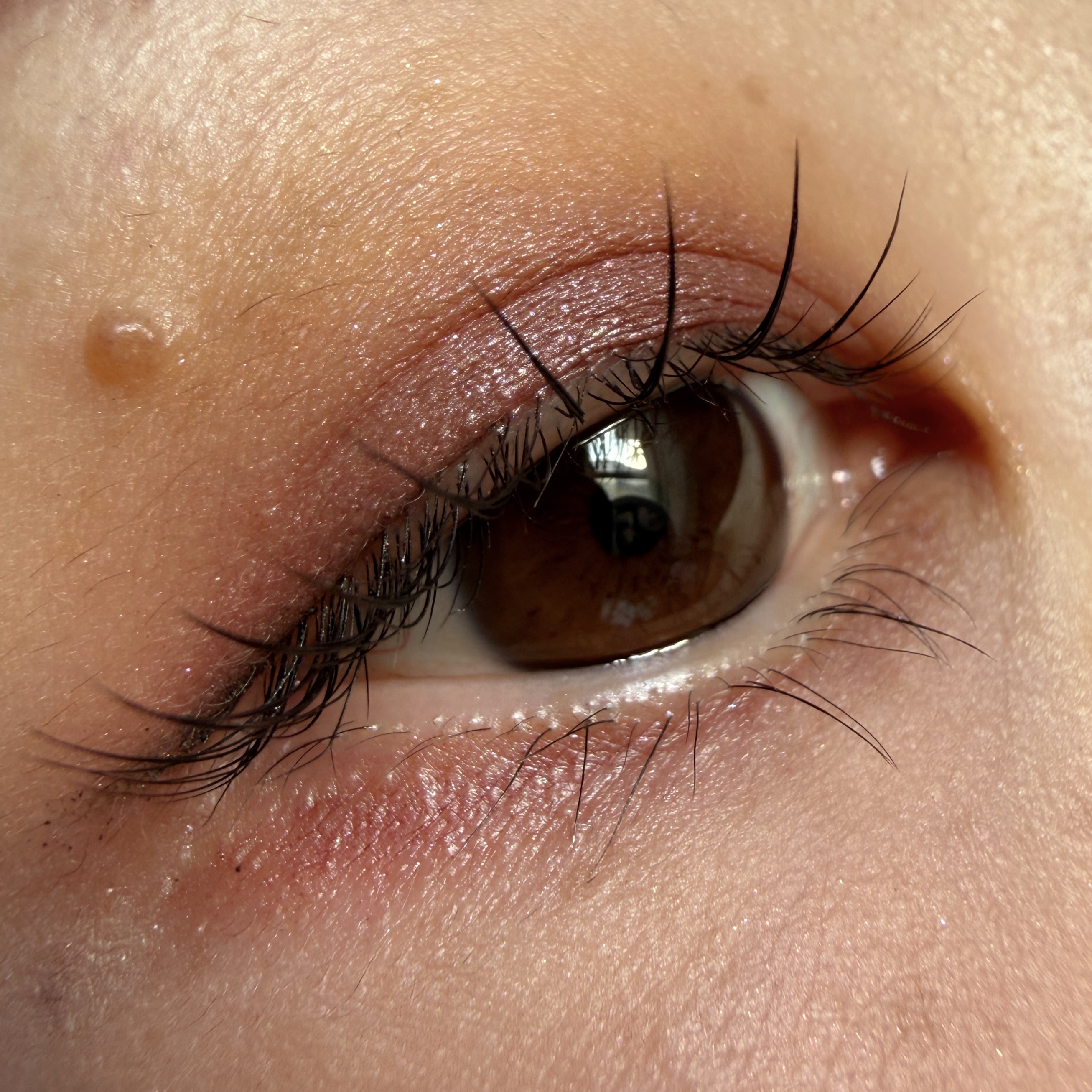 モノ ルック アイズ/SUQQU/単色アイシャドウを使ったクチコミ（1枚目）