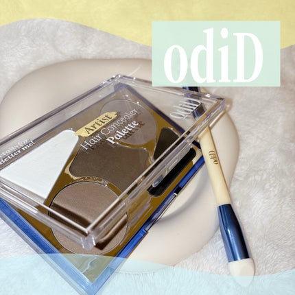 アーティストライン ヘアコンシーラーパレット/odiD/その他スタイリングを使ったクチコミ(1枚目)