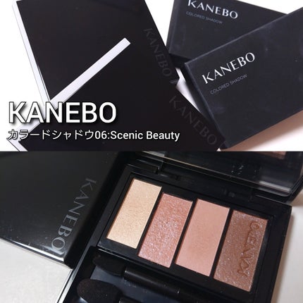 カラードシャドウ/KANEBO/アイシャドウパレットを使ったクチコミ(2枚目)