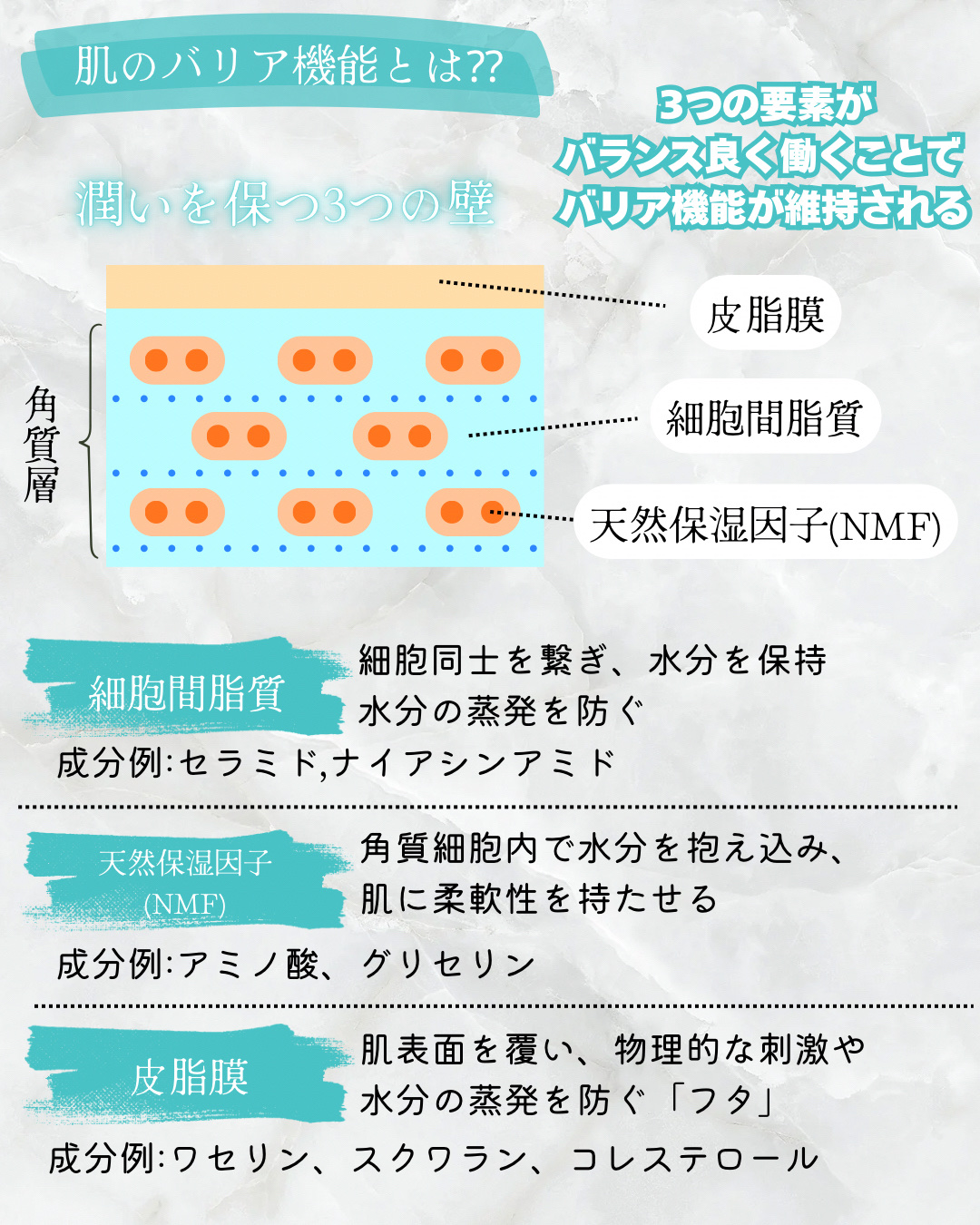 潤浸保湿 泡洗顔料/キュレル/泡洗顔を使ったクチコミ（2枚目）