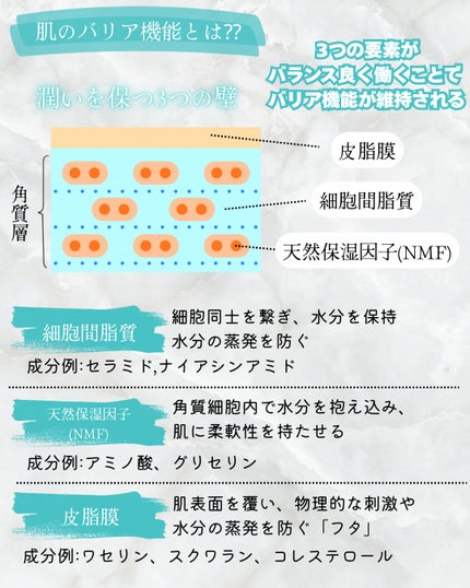 潤浸保湿 泡洗顔料/キュレル/泡洗顔を使ったクチコミ(2枚目)