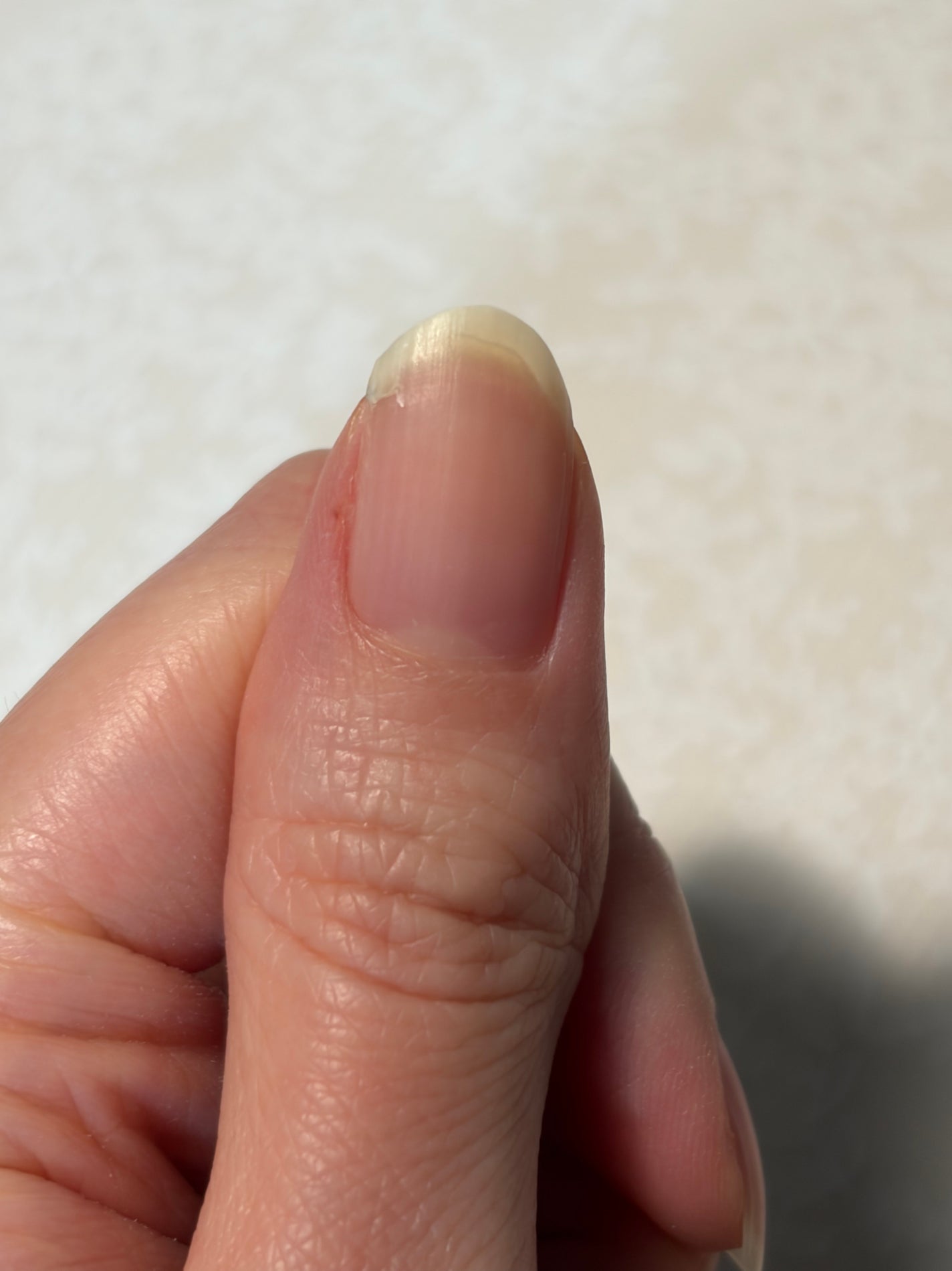 セシェ・ヴィート/セシェ/ネイルトップコートを使ったクチコミ(2枚目)