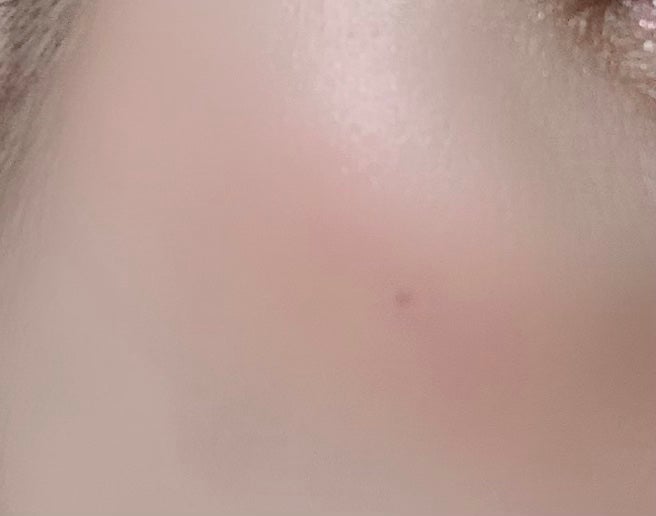 パウダーチークス/キャンメイク/パウダーチークを使ったクチコミ(4枚目)