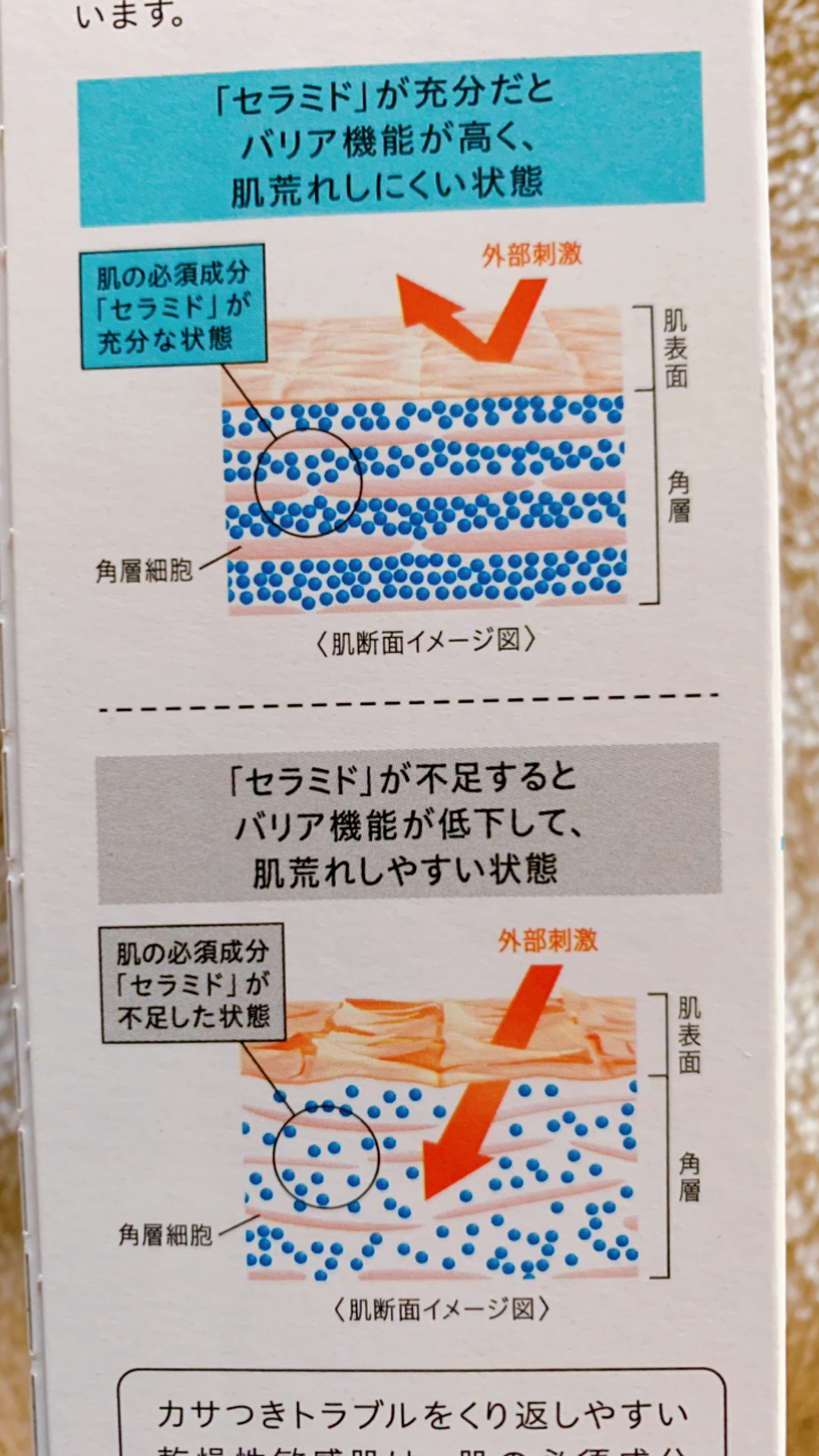 オイルメイク落とし/キュレル/オイルクレンジングを使ったクチコミ（3枚目）