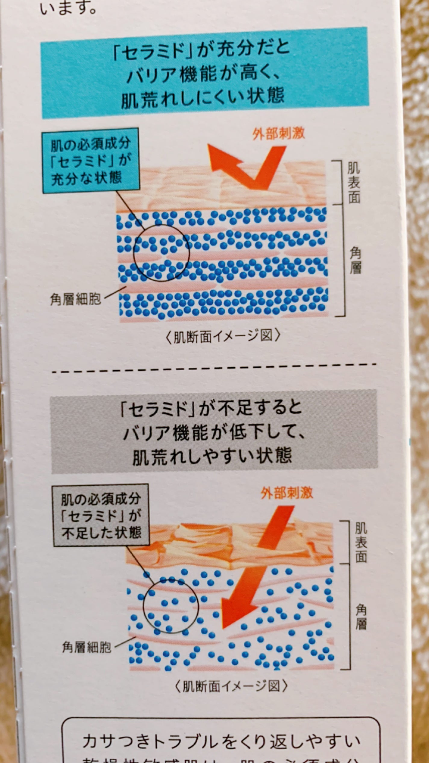 オイルメイク落とし/キュレル/オイルクレンジングを使ったクチコミ(3枚目)