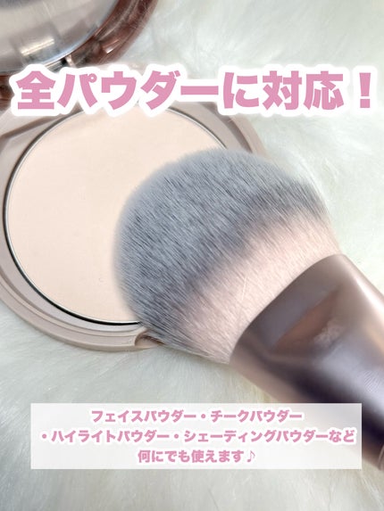 パウダーファンブラシ/ロージーローザ/メイクブラシを使ったクチコミ(3枚目)
