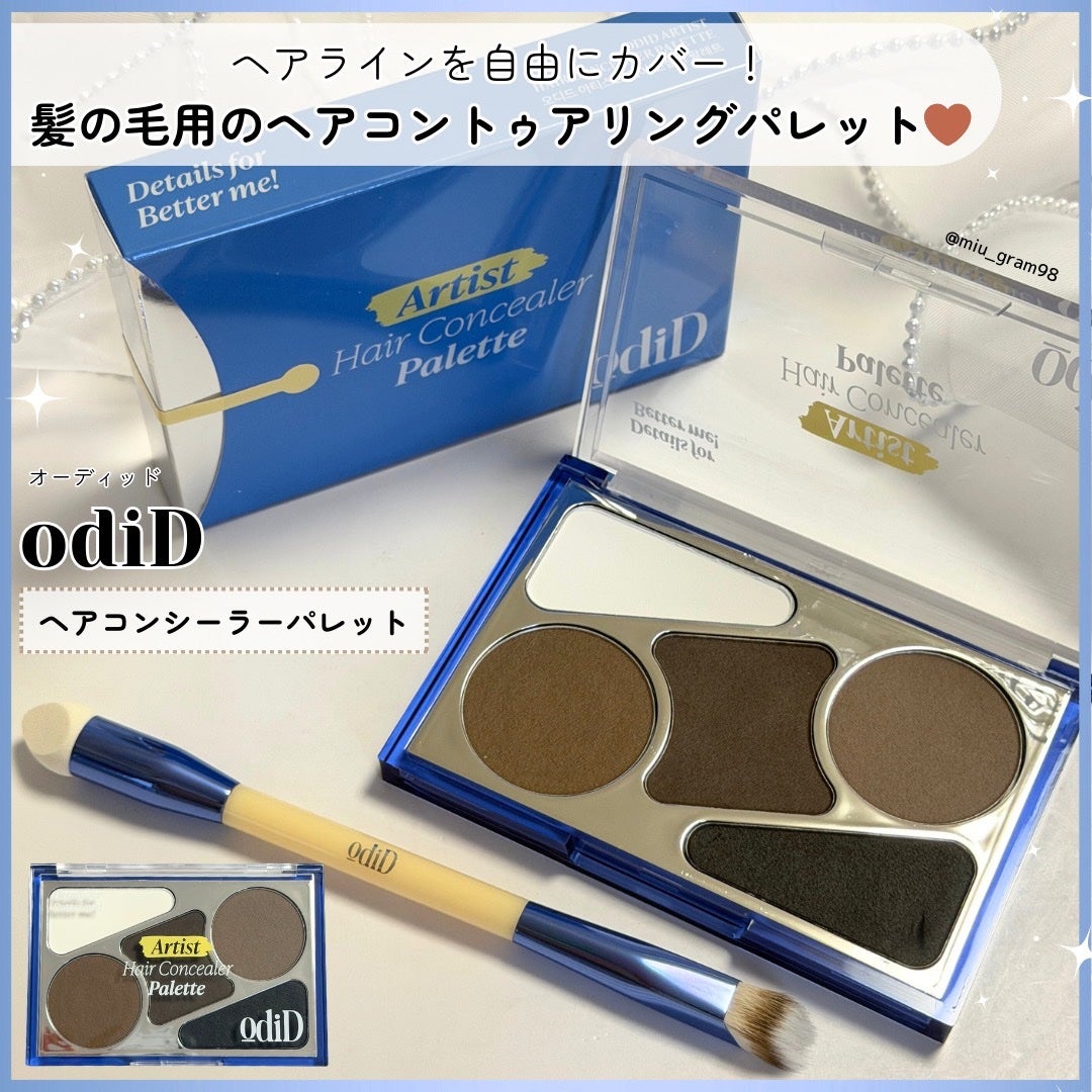 アーティストライン ヘアコンシーラーパレット/odiD/その他スタイリングを使ったクチコミ(1枚目)