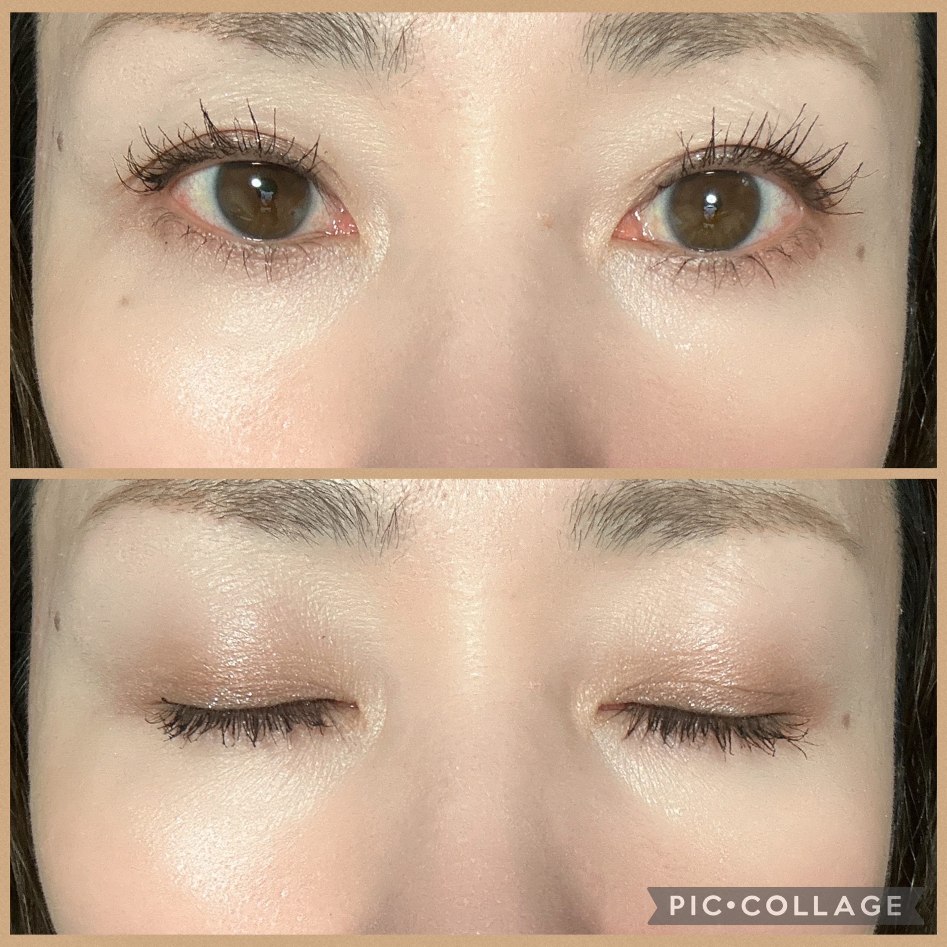 エターナル ブルーム コレクション/DECORTÉ/メイクアップキットを使ったクチコミ（3枚目）