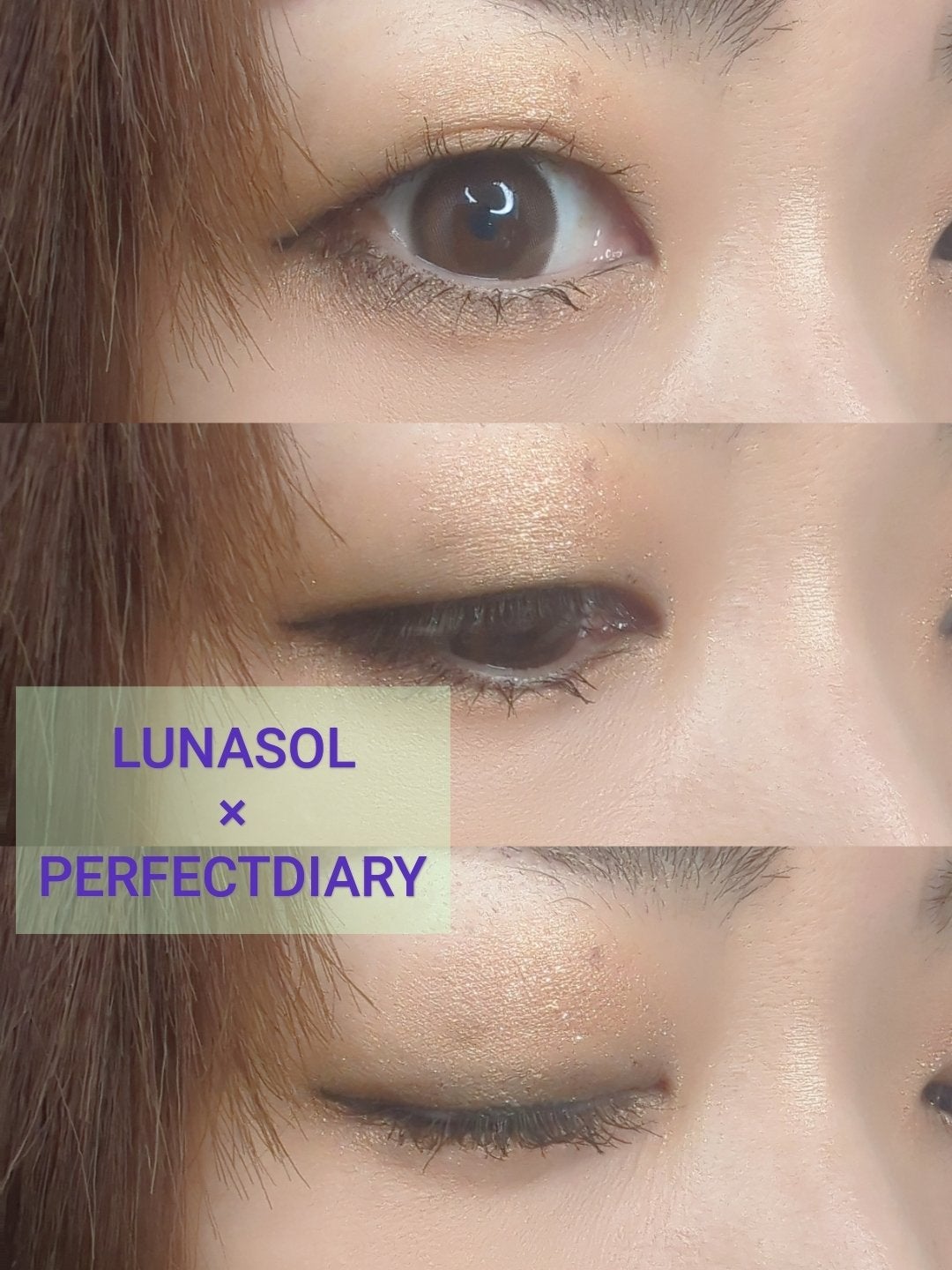 エクスプローラ12色 動物アイシャドウパレット/PERFECT DIARY/アイシャドウパレットを使ったクチコミ(1枚目)