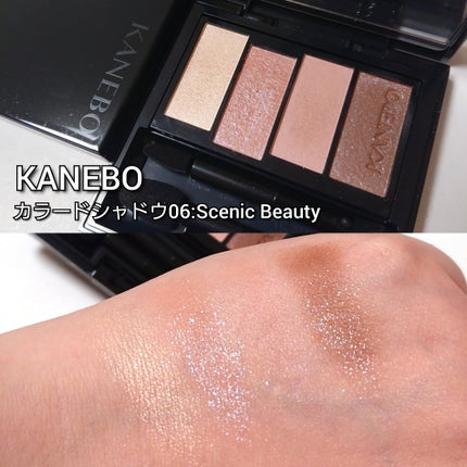 カラードシャドウ/KANEBO/アイシャドウパレットを使ったクチコミ(3枚目)