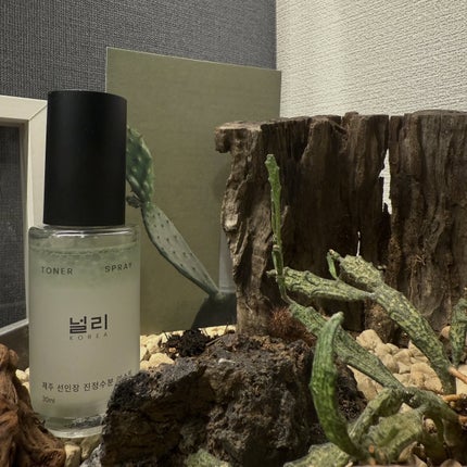 ãã«ãª/NULLI KOREA/ãã¹ãç¶åç²§æ°Žã䜿ã£ãã¯ãã³ãïŒ1æç®ïŒ