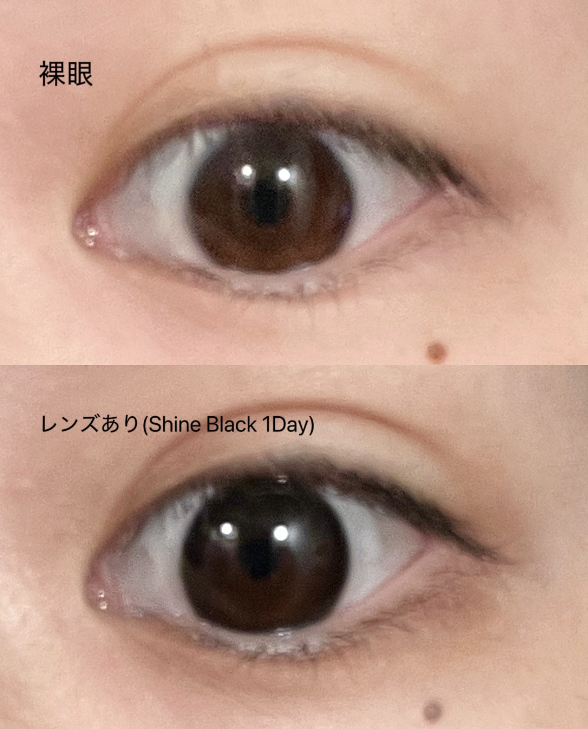 シャインブラックワンデー/POPLENS/カラーコンタクトレンズを使ったクチコミ（2枚目）