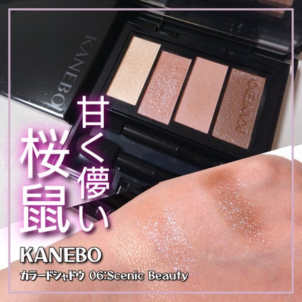 カラードシャドウ/KANEBO/アイシャドウパレットを使ったクチコミ(1枚目)