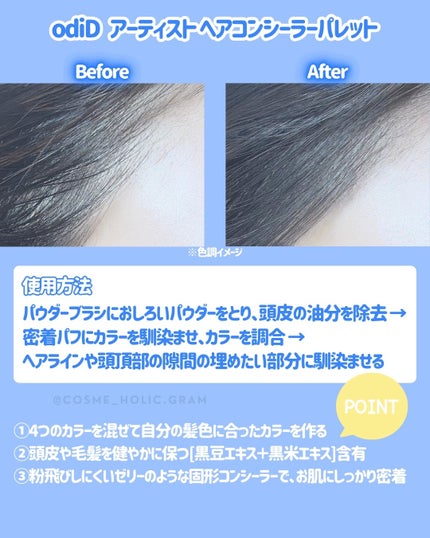 ヘアコンシーラーパレット&アーティスト デュアルブラシ/odiD/その他スタイリングを使ったクチコミ(3枚目)