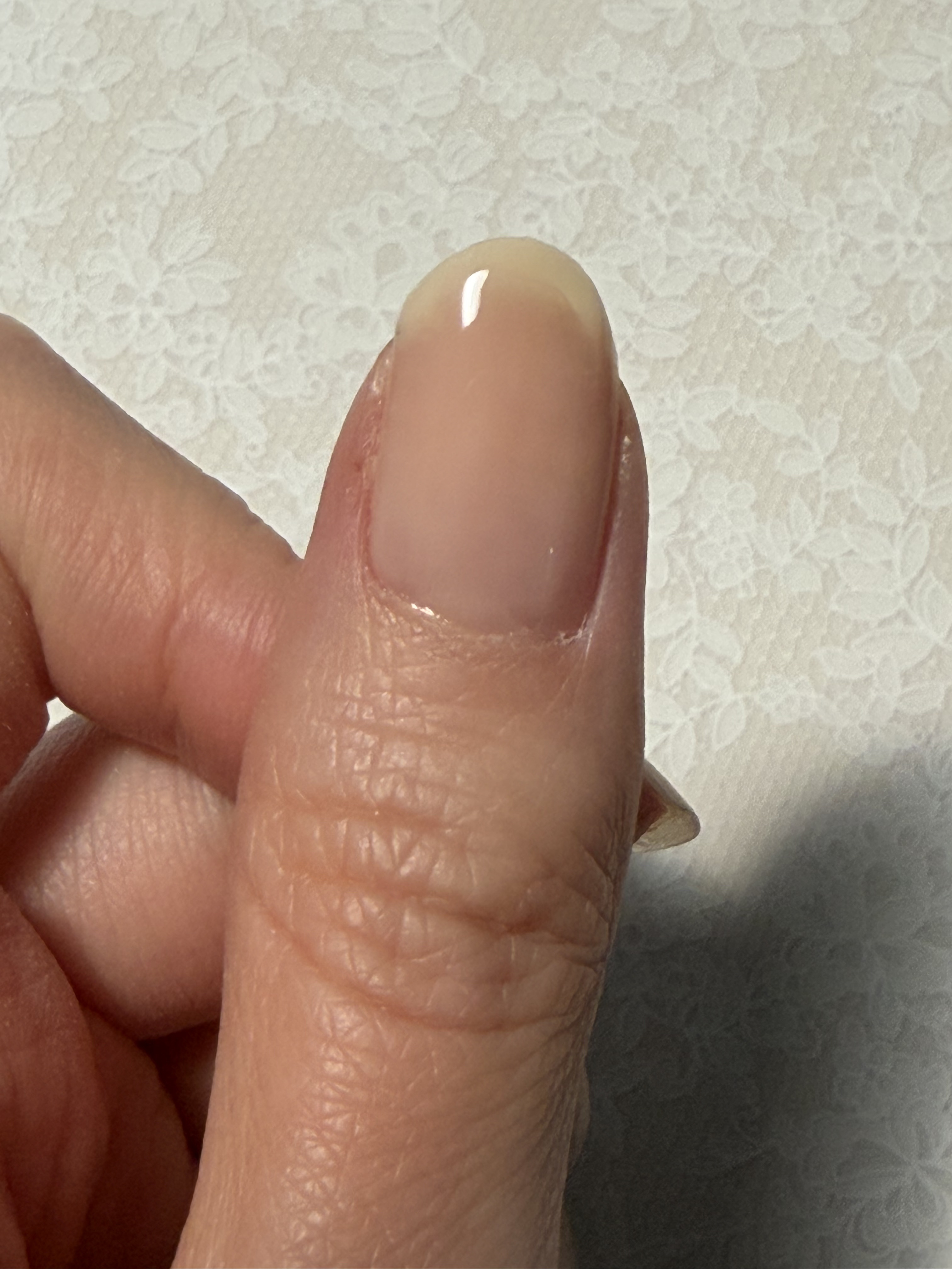 ファイバーインハードナーEX/デュカート/オールインワンネイルを使ったクチコミ（3枚目）