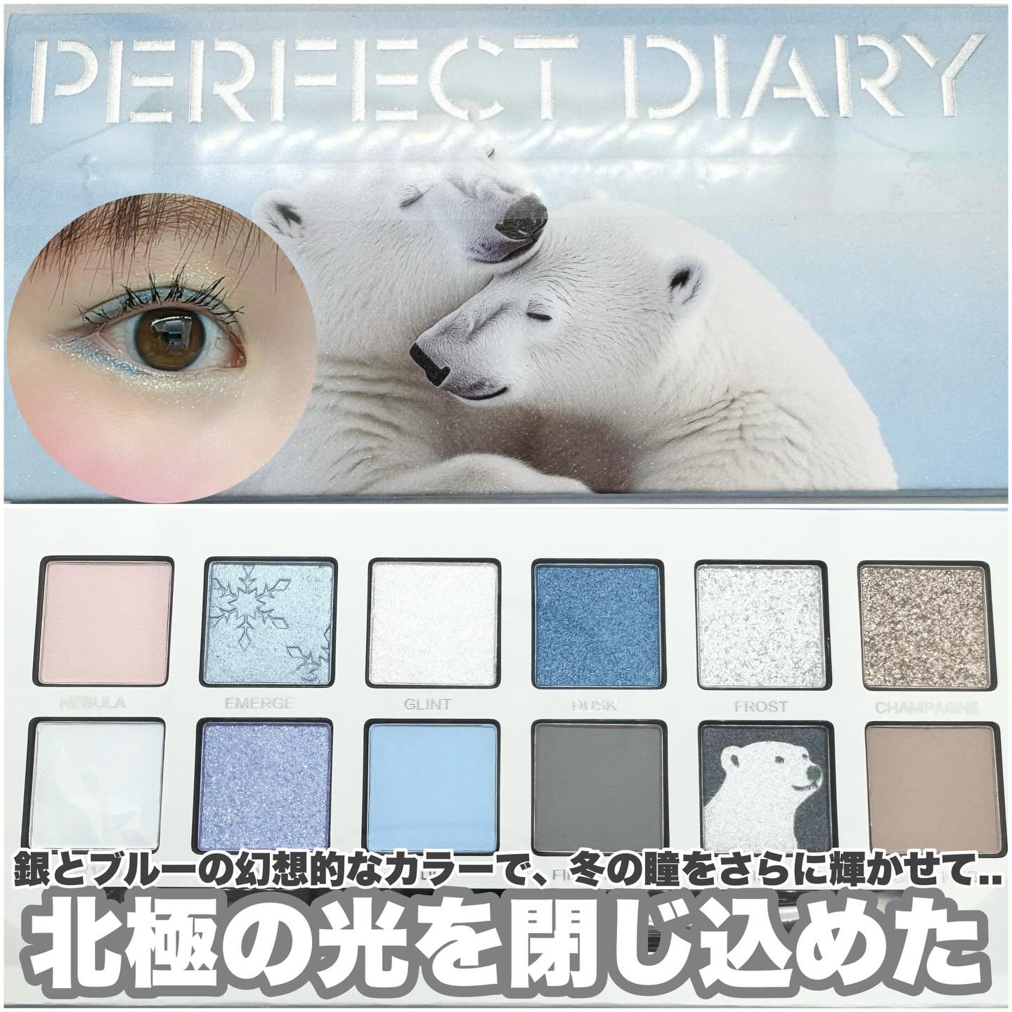 エクスプローラ12色 動物アイシャドウパレット/PERFECT DIARY/アイシャドウパレットを使ったクチコミ（1枚目）