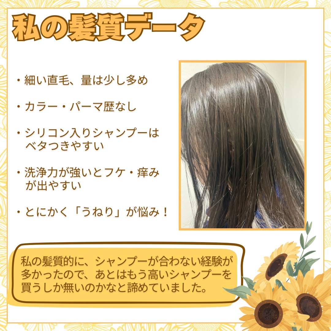 オイルインシャンプー／オイルインコンディショナー（リッチ＆リペア）/ディアボーテ/市販シャンプーを使ったクチコミ（2枚目）