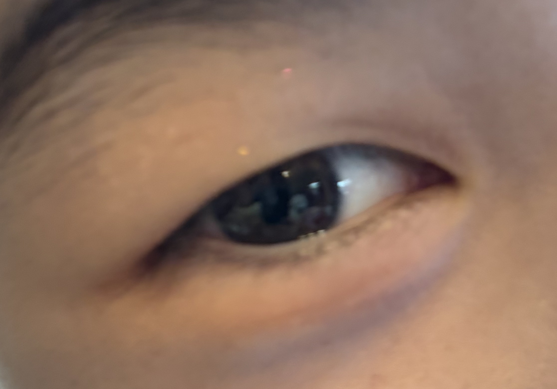 ベターザンアイズ/rom&nd/アイシャドウパレットを使ったクチコミ（3枚目）