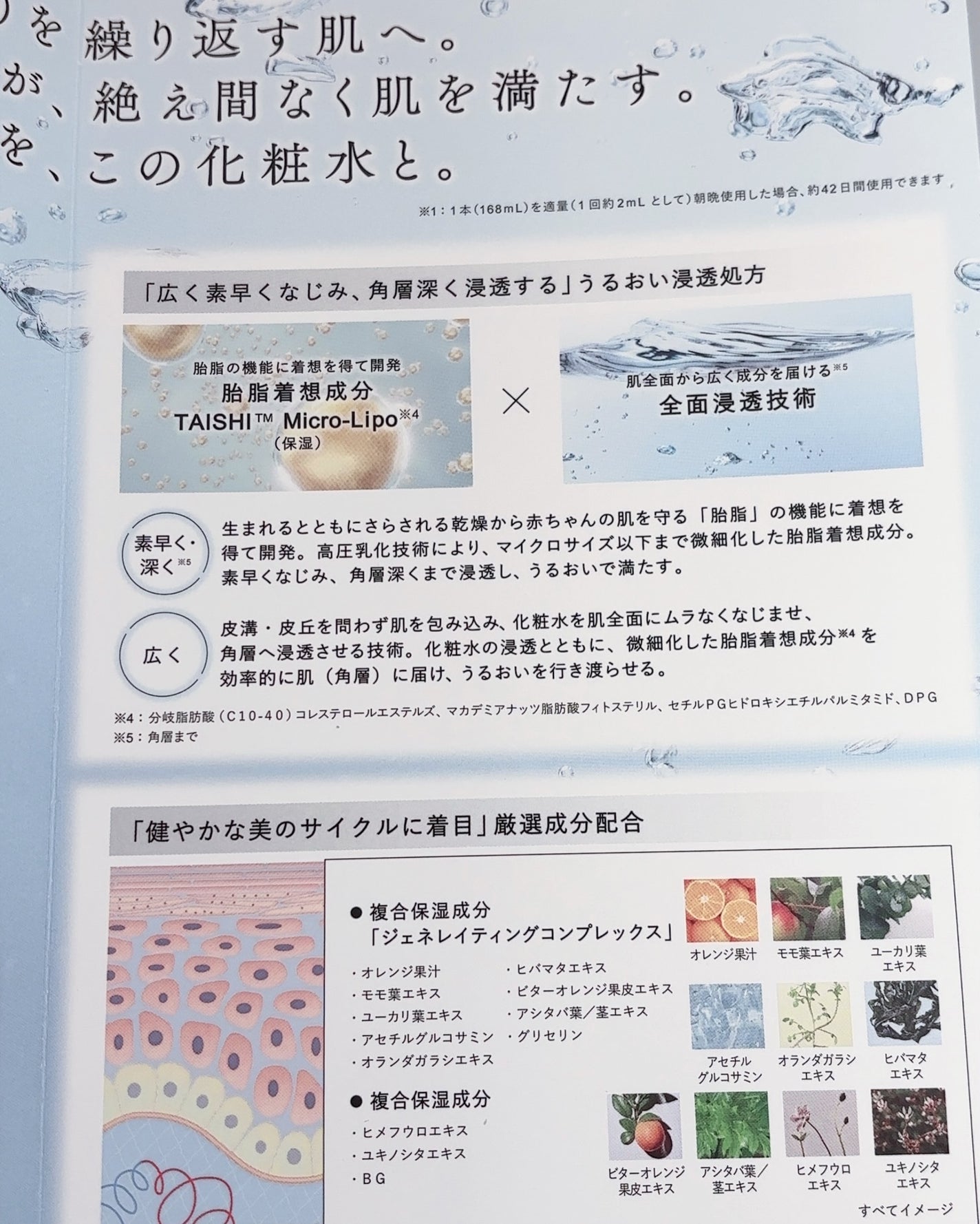 カネボウ ジェネレイティング エッセンシャルズ/KANEBO/化粧水を使ったクチコミ(4枚目)