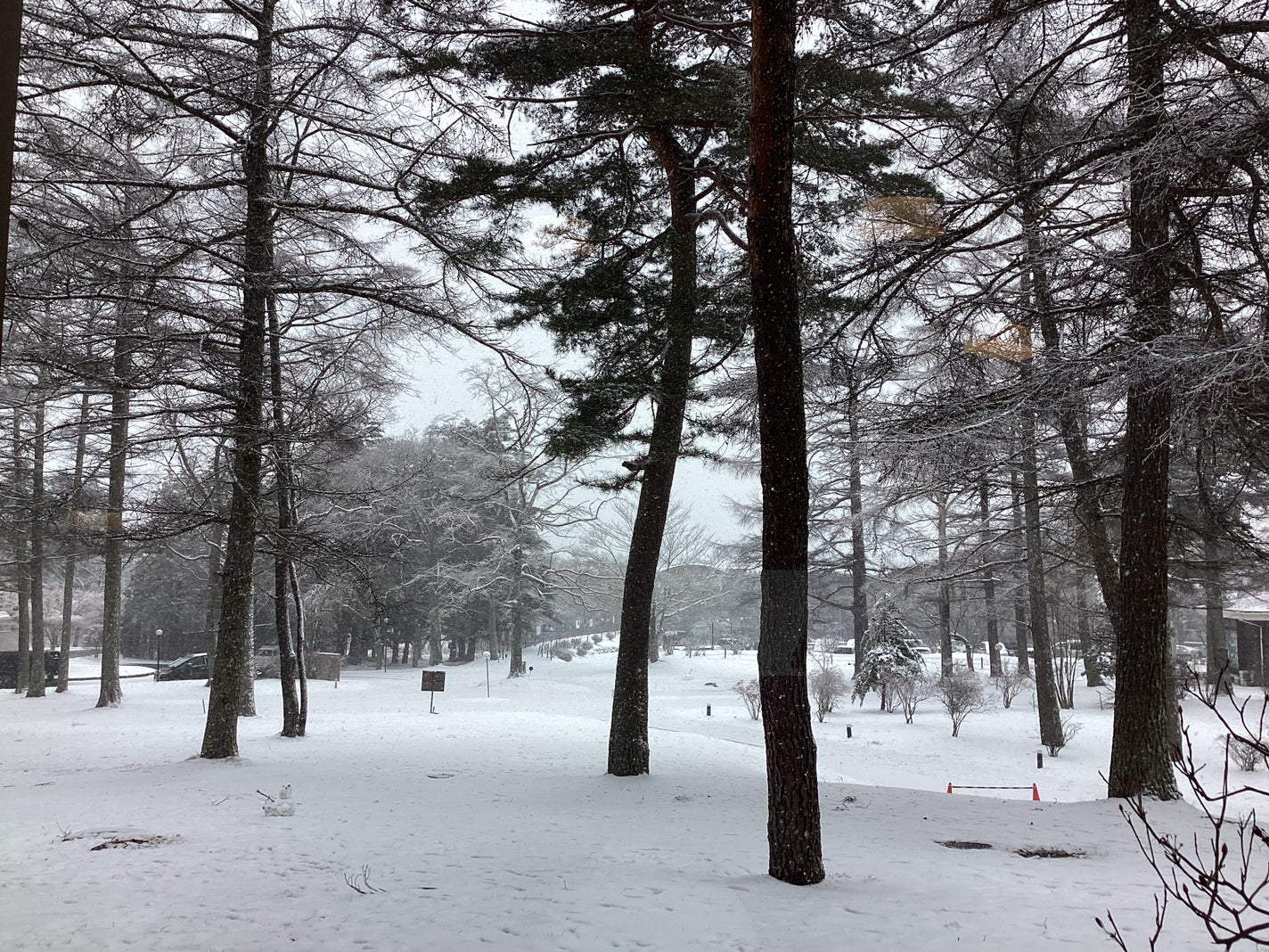 meimei on LIPS 「#綺麗な写真同じ場所で撮った写真だけど、季節によって全然違う😳..」(2枚目)